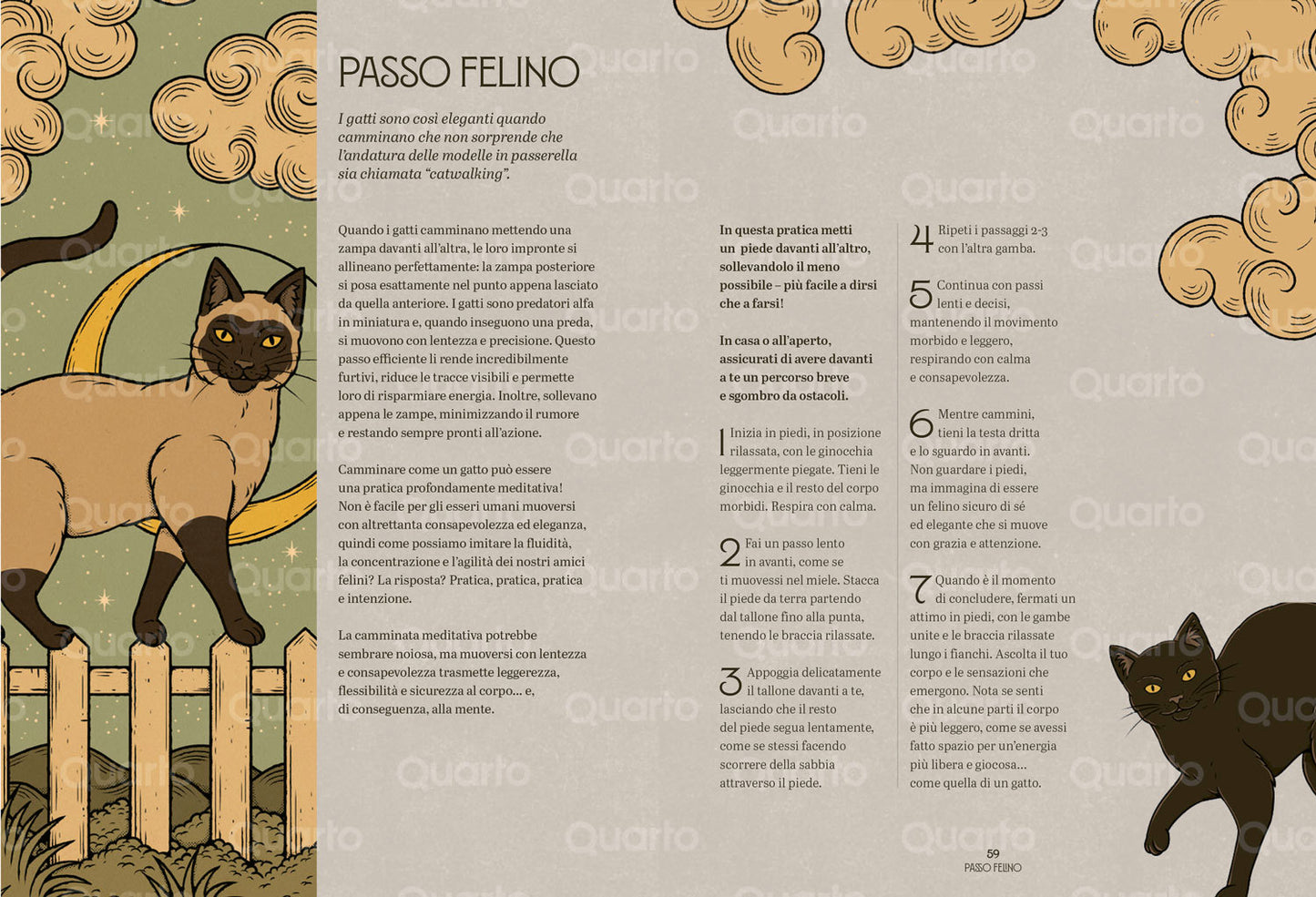 GATTI ZEN. Guida felina alla meditazione