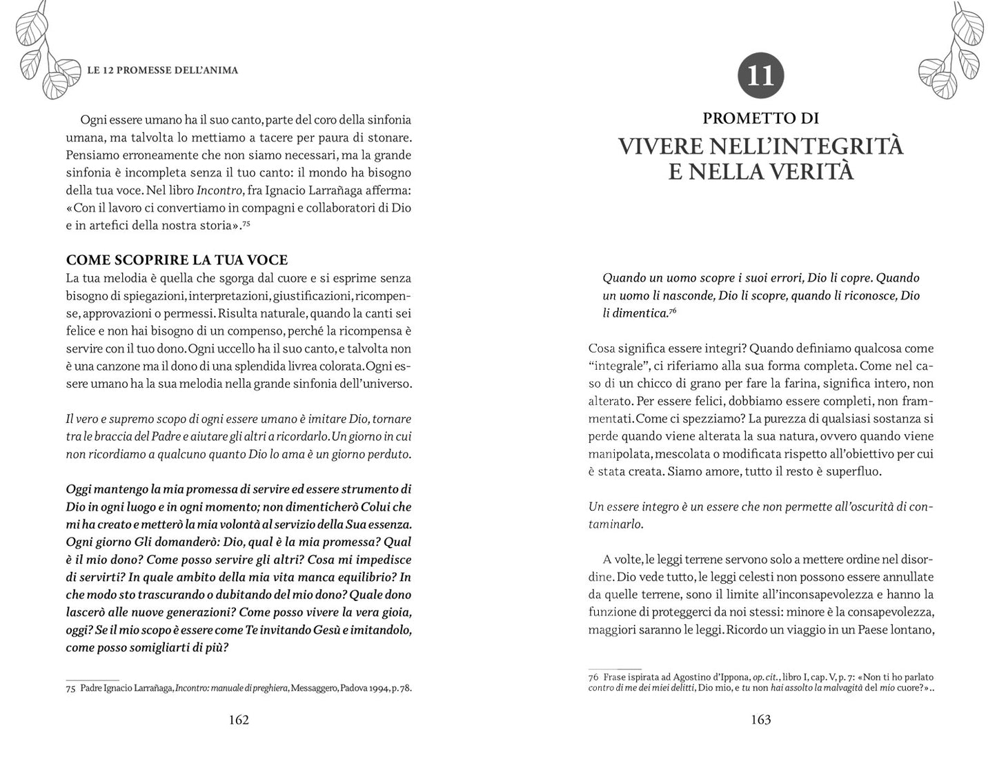 Le 12 promesse dell'anima. Una guida per la guarigione spirituale