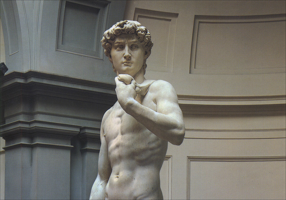 Cartolina. Firenze - Galleria dell'Accademia. David (1501-1504). dopo il restauro 2004