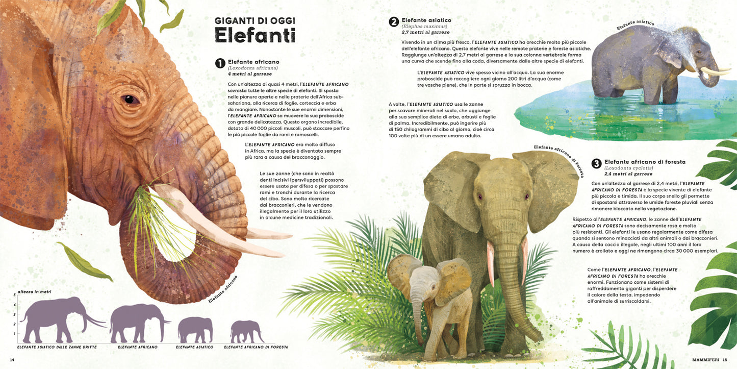 Mega. I più grandi animali di sempre!