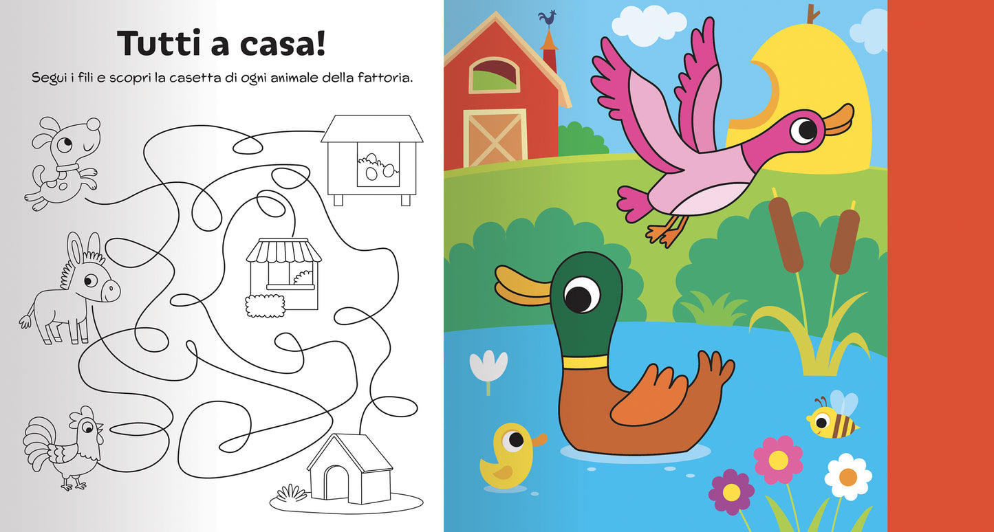 Magico Colore - Fattoria