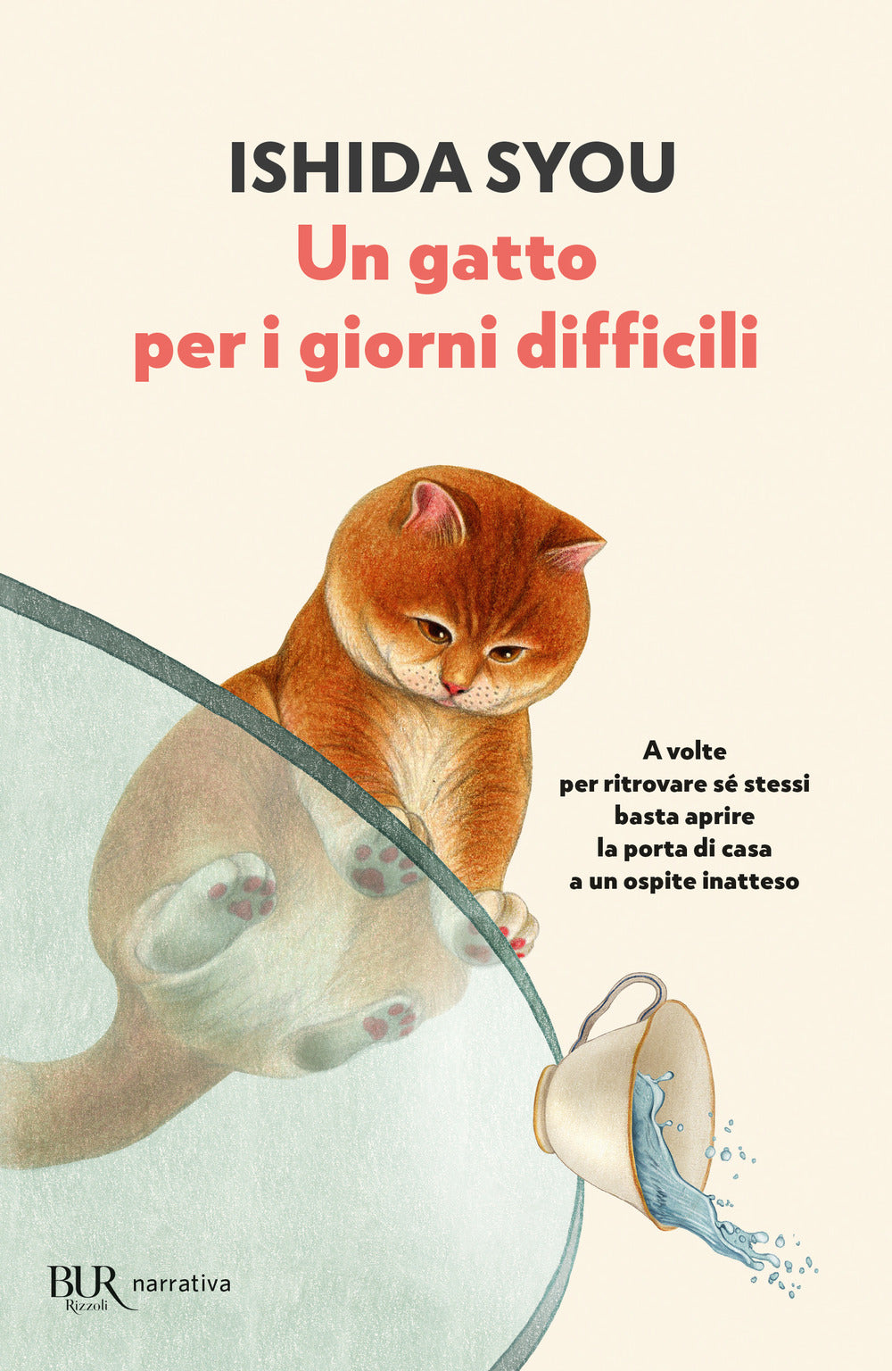 Un gatto per i giorni difficili
