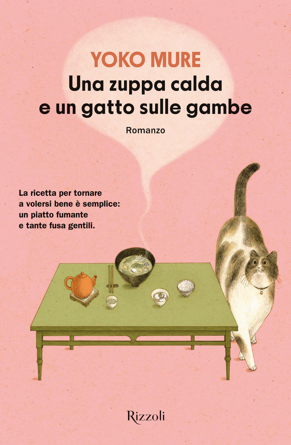 Una zuppa calda e un gatto sulle gambe