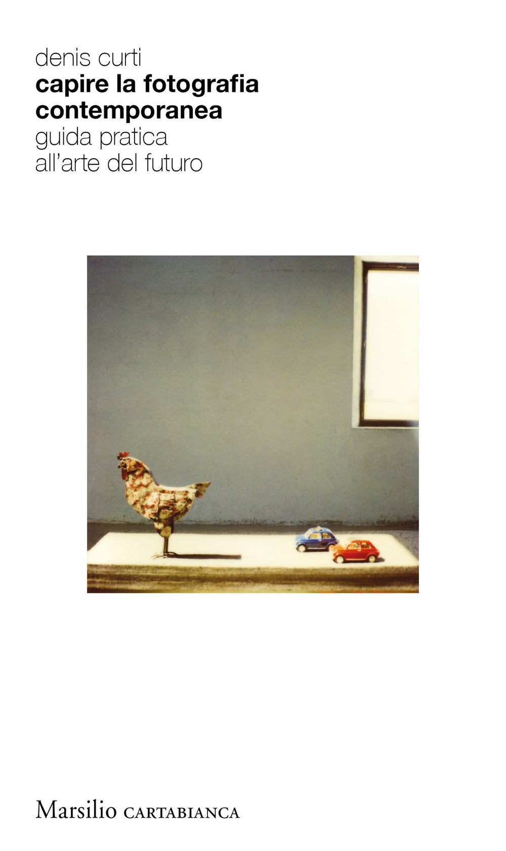 Capire la fotografia contemporanea. Guida pratica all’arte del futuro