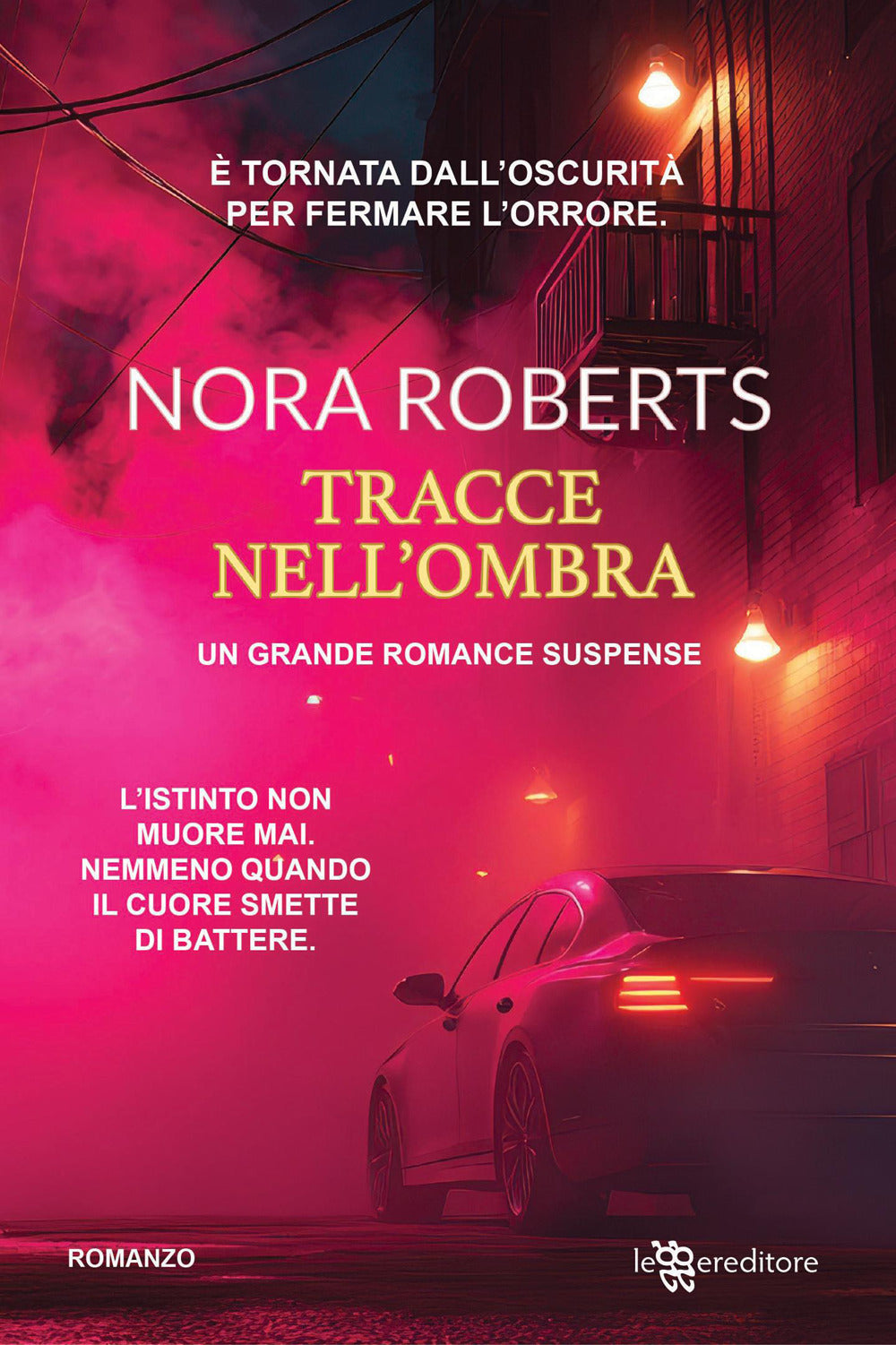 Tracce nell'ombra
