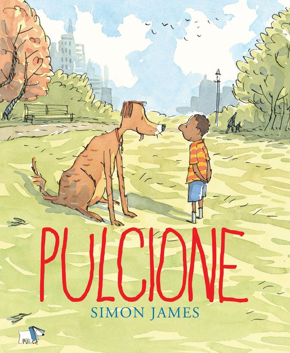 Pulcione