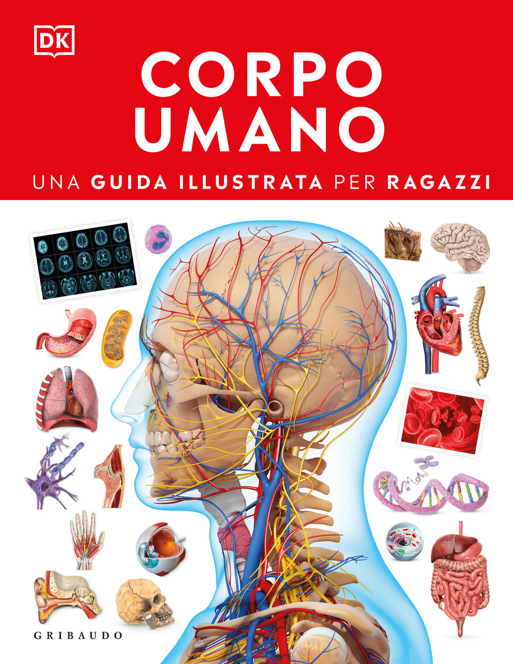 Corpo umano. Una guida illustrata per ragazzi | Giunti al punto