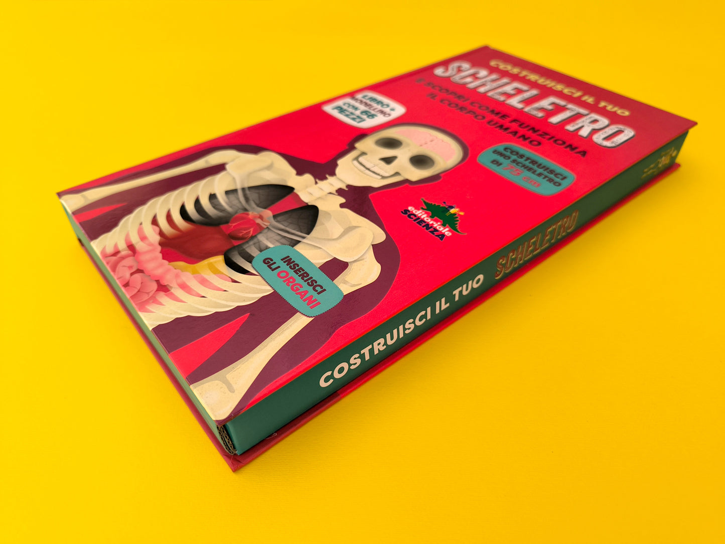 Costruisci il tuo scheletro. e scopri come funziona il corpo umano