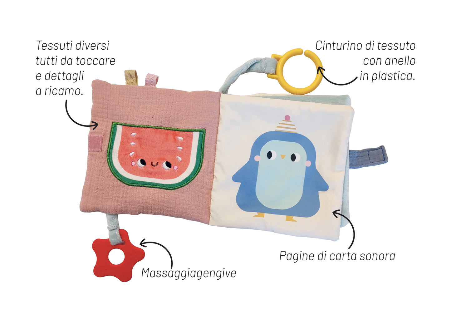 La rana. Un libro tutto da esplorare