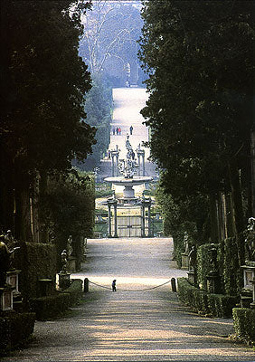 Cartolina. Firenze - Giardino di Boboli
