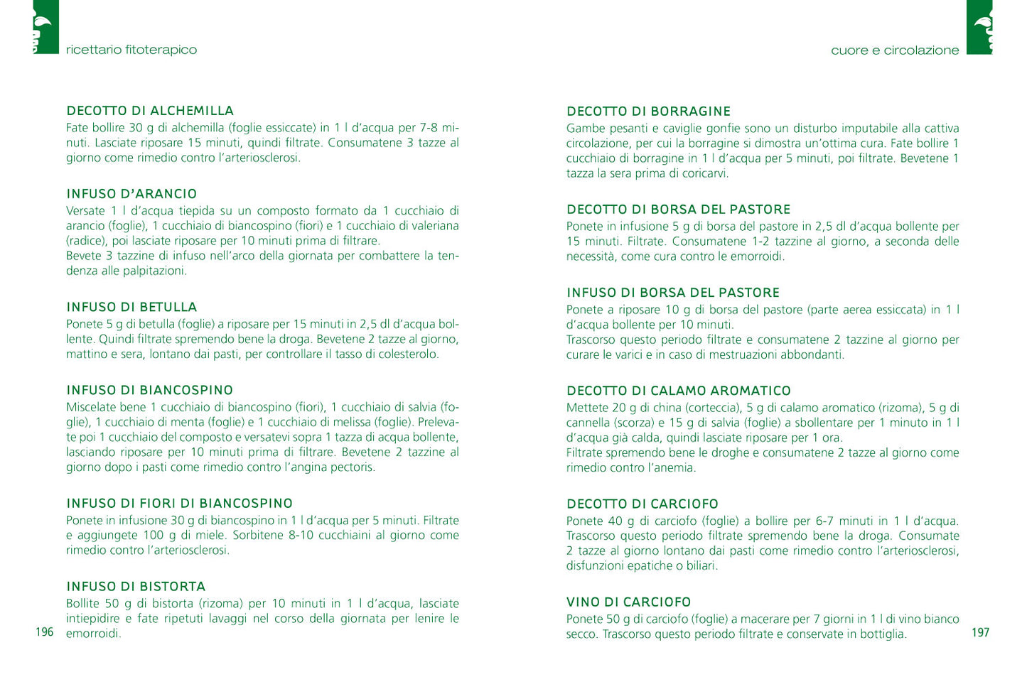 Erbe che curano. Essenze, tisane, unguenti, liquori e il ricettario delle erbe selvatiche