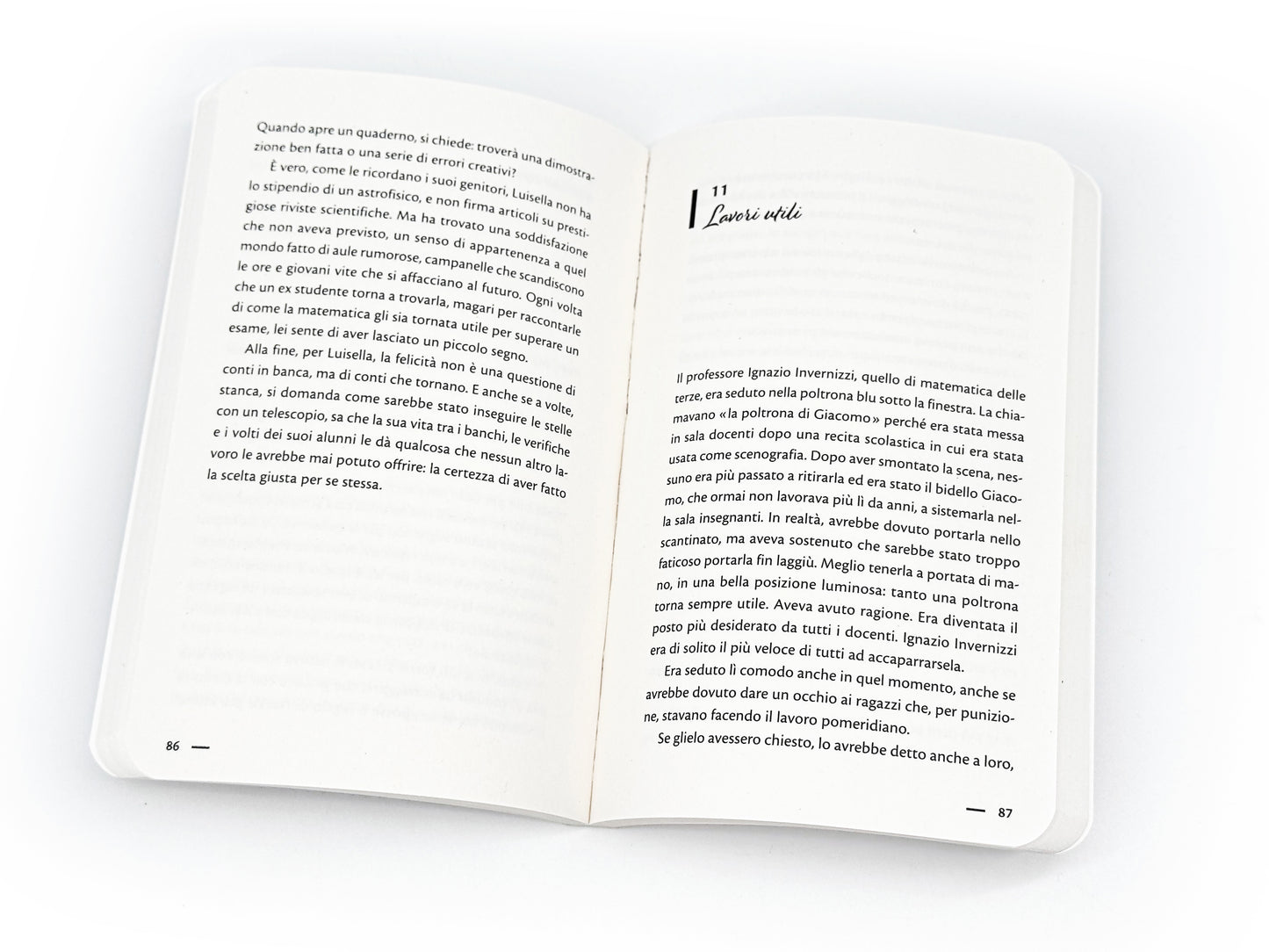 Chi sì e chi no. Una storia di seconde generazioni