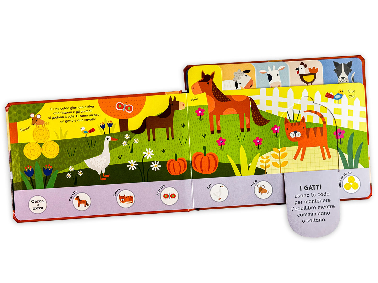 Fattoria. Piccoli esploratori