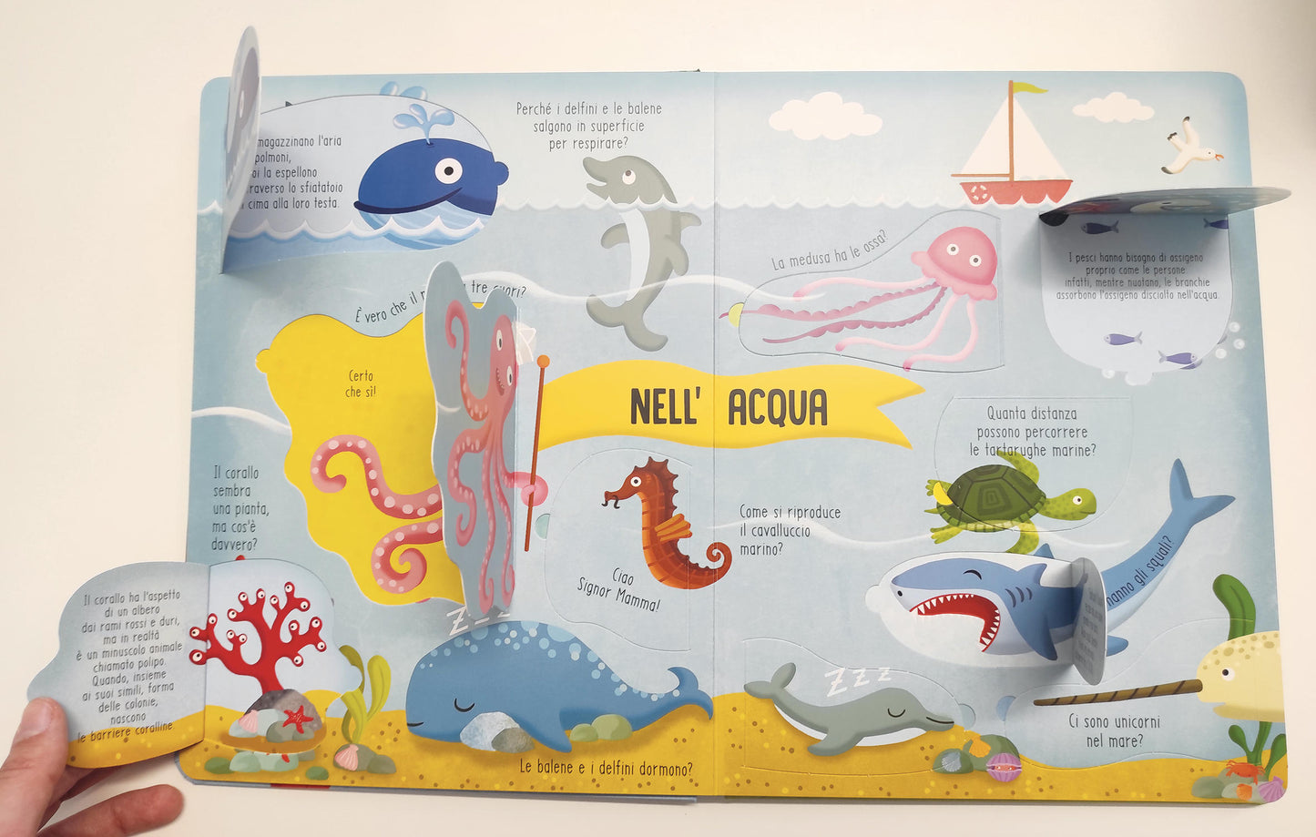 Animali. Solleva le alette e trova le risposte!