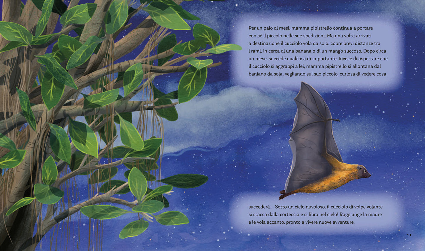 I segreti della notte. Storie della buonanotte per scoprire la natura