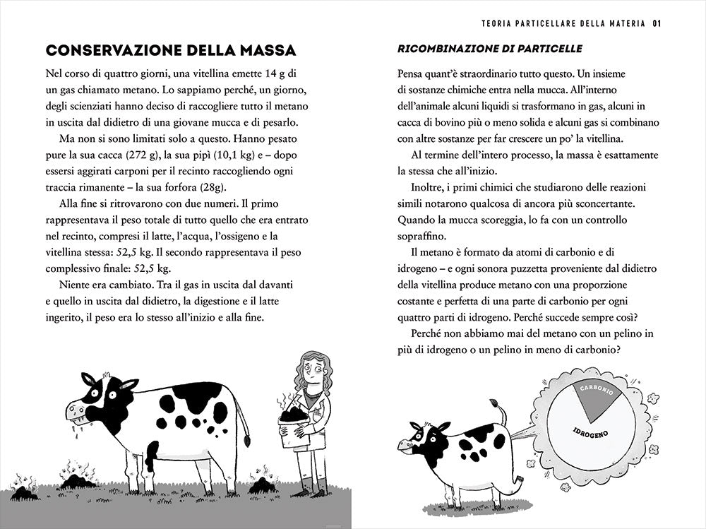 Viaggio al centro della fisica. dalle leggi di Newton alle rane fluttuanti