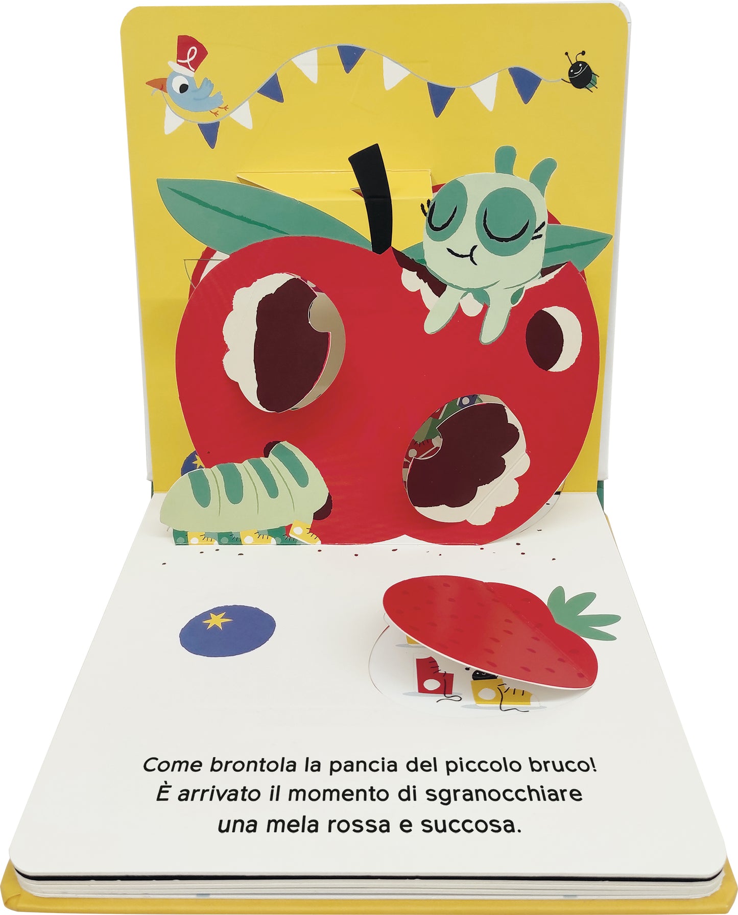 Animali del giardino. Un libro con pop-up e finestrelle