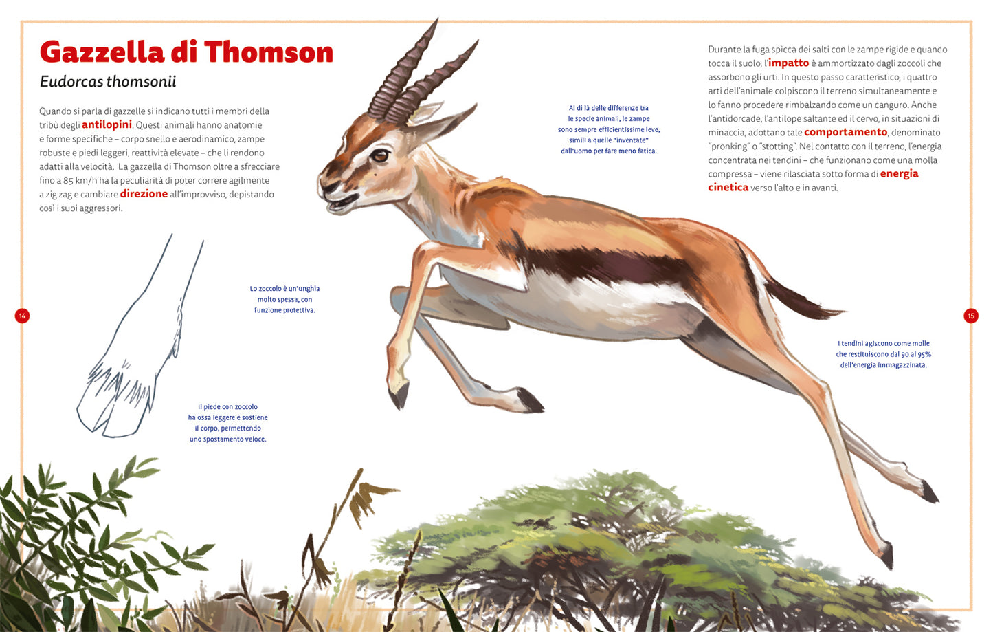 I maestri della fuga