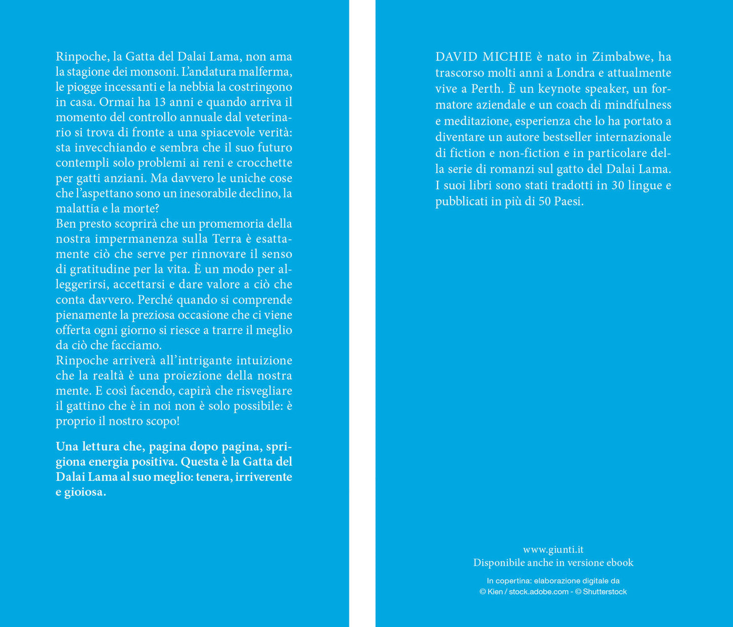 Il gatto del Dalai Lama e il risveglio del gattino interiore