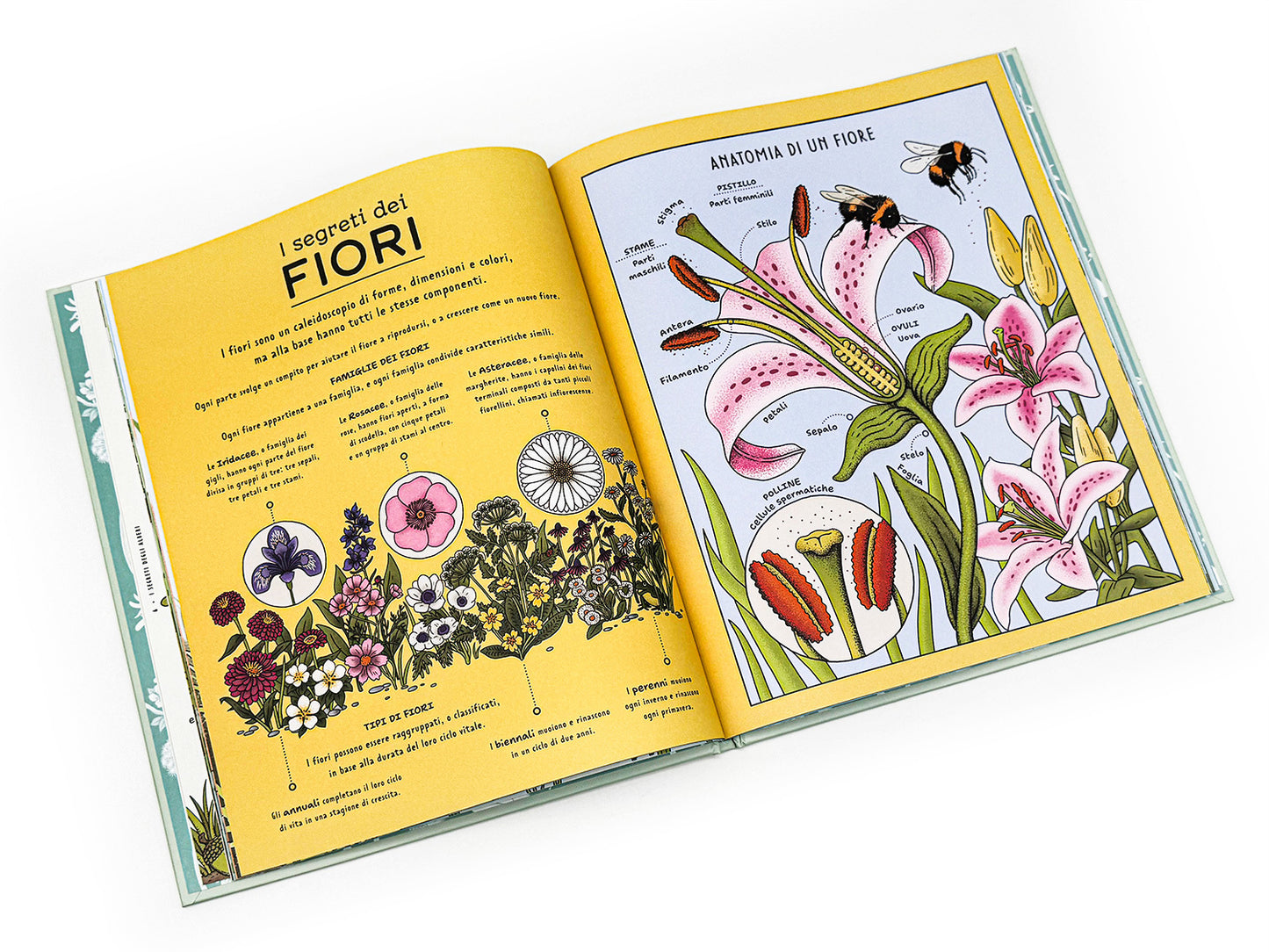 I segreti della natura