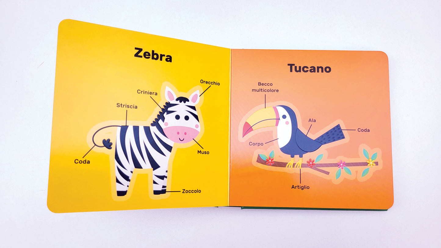 Animali. I miei primi 50 animali tattili