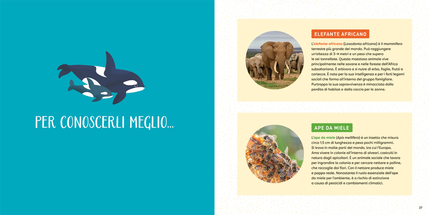 Qui comando io!. Le femmine nel mondo animale