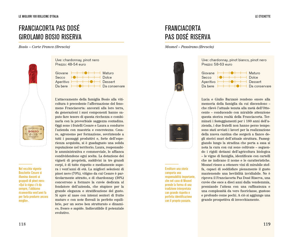 Le migliori 100 bollicine d'Italia. Per sapere sempre con che vino brindare