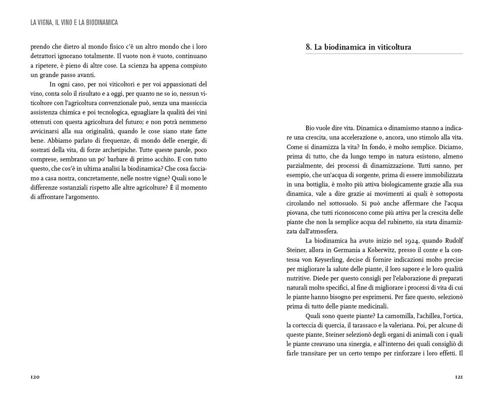 La vigna, il vino e la biodinamica