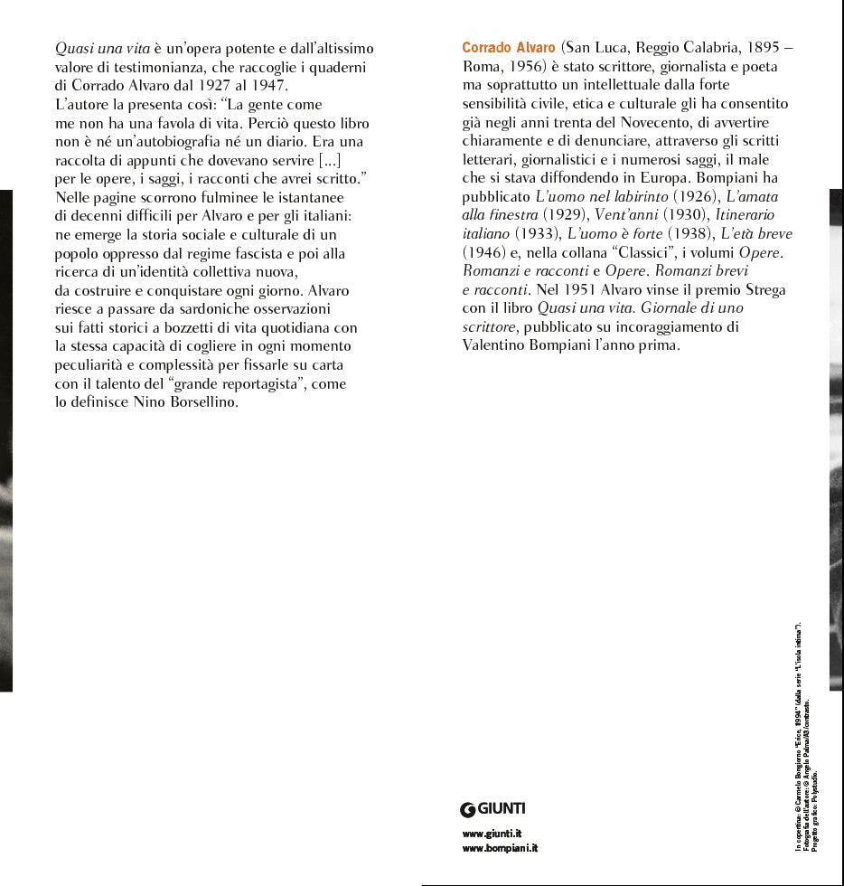 Quasi una vita. Giornale di uno scrittore