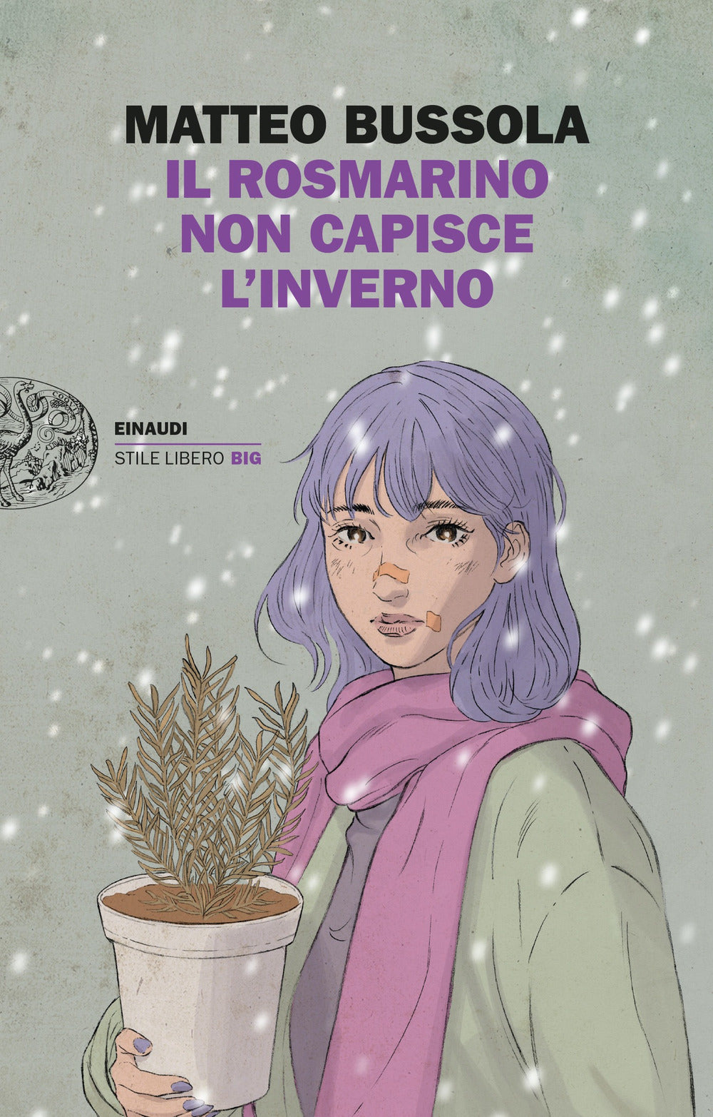 Il rosmarino non capisce l'inverno.