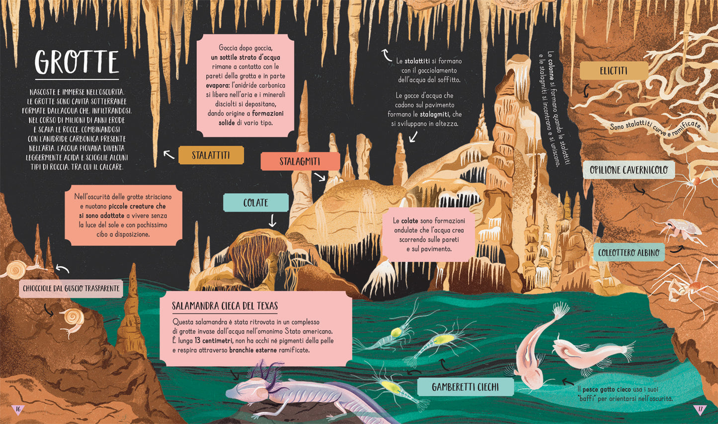 Su e giù. Sali fino allo Spazio, poi GIRA IL LIBRO e scendi fino al centro della Terra!