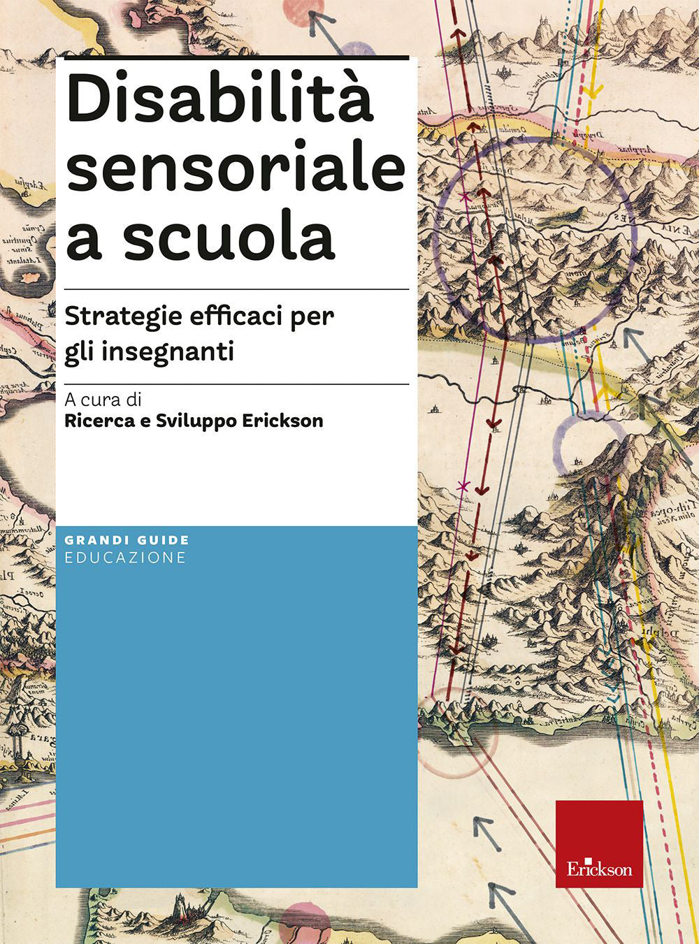 Disabilità sensoriale a scuola. Strategie efficaci per gli insegnanti. Con aggiornamento on line.