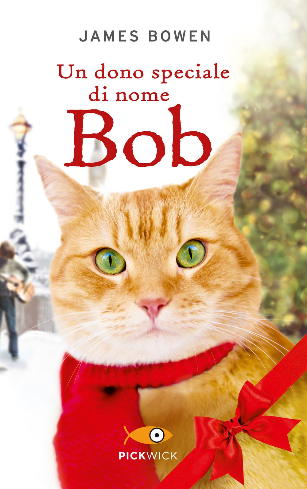 Un dono speciale di nome Bob.