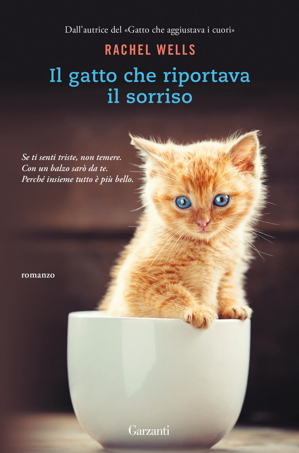 Il gatto che riportava il sorriso.