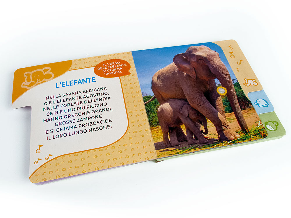 Animali del mondo. Primi suoni. 6 versi da ascoltare!