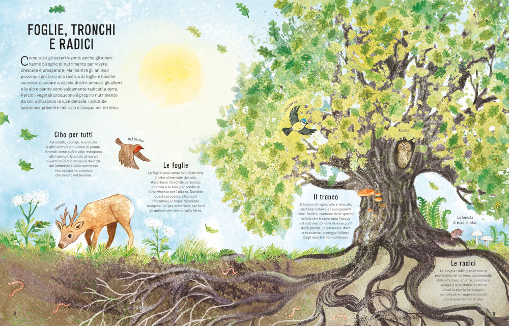 Nella foresta. Una passeggiata tra i boschi di tutto il mondo