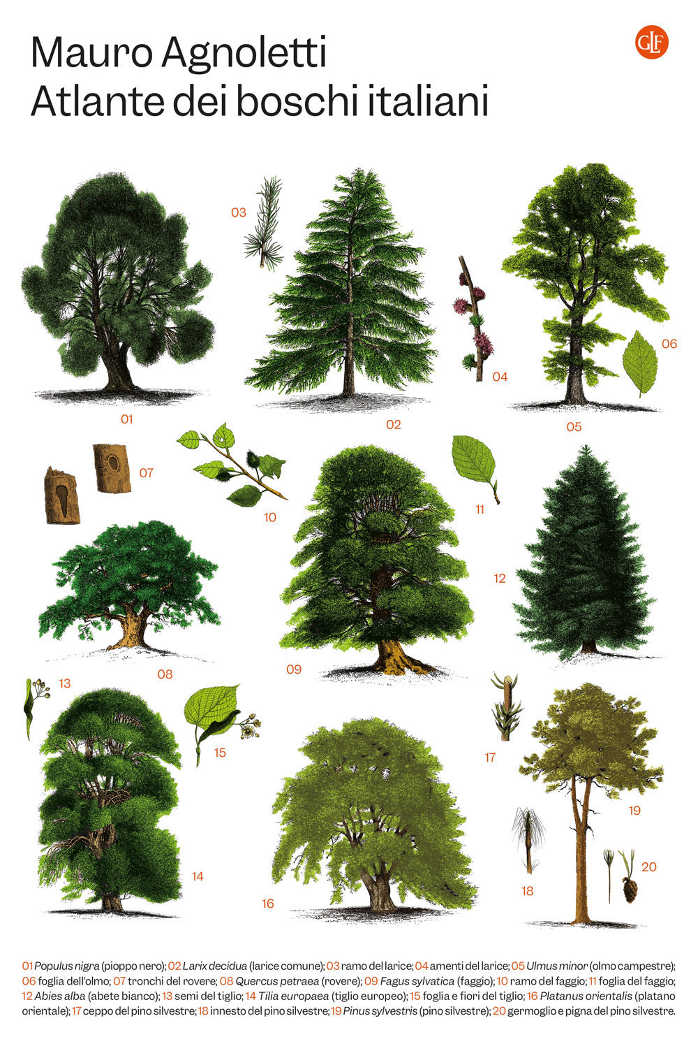 Atlante dei boschi italiani.