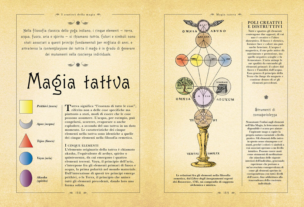 I segreti dell'alta magia. Pratiche occulte con rituali, alchimia, talismani, astrologia e tarocchi