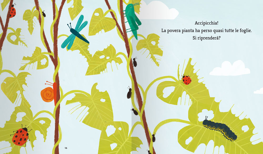 La farfalla e il fagiolo. Una storia sulle fasi della crescita