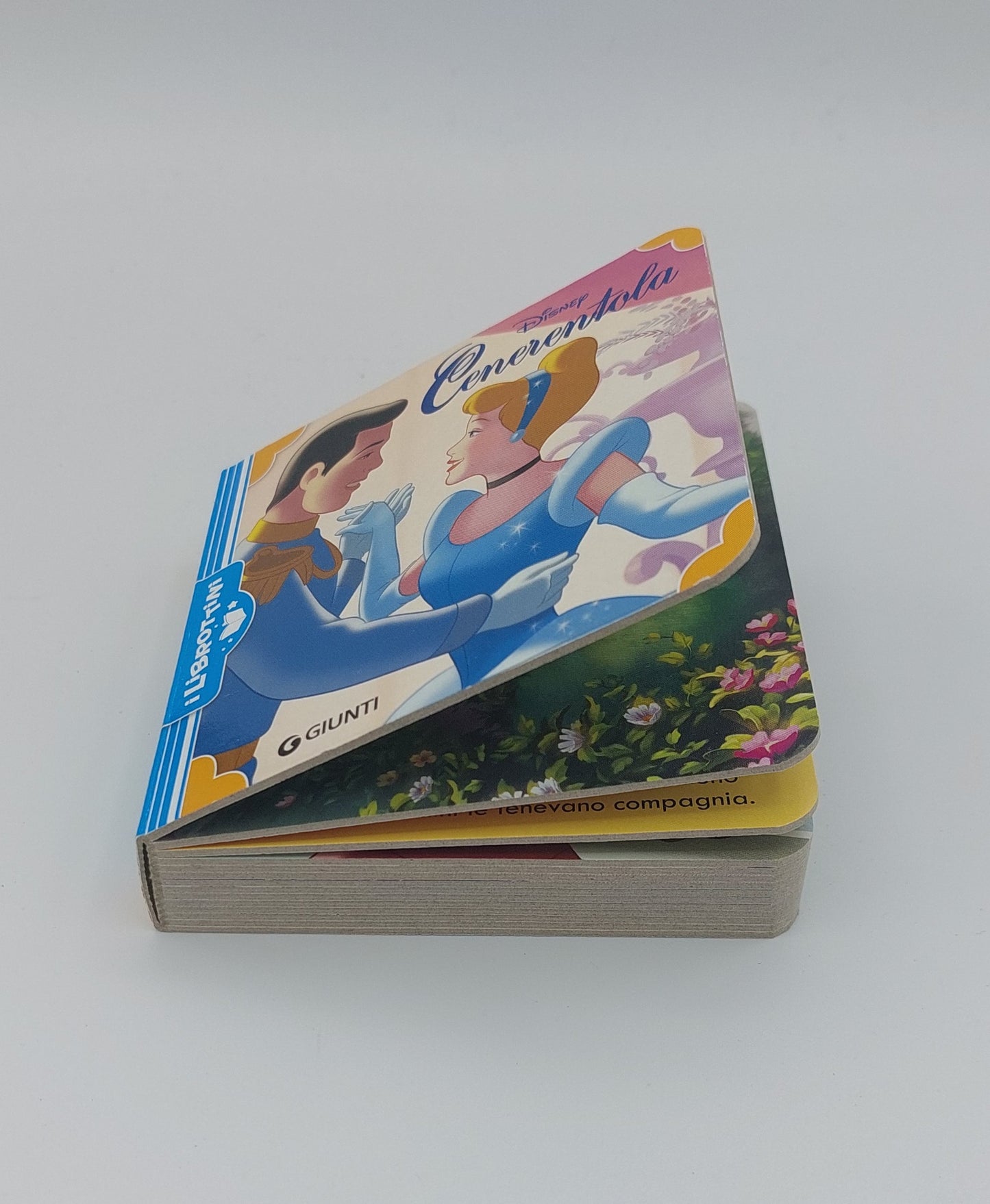 Cenerentola - I Librottini