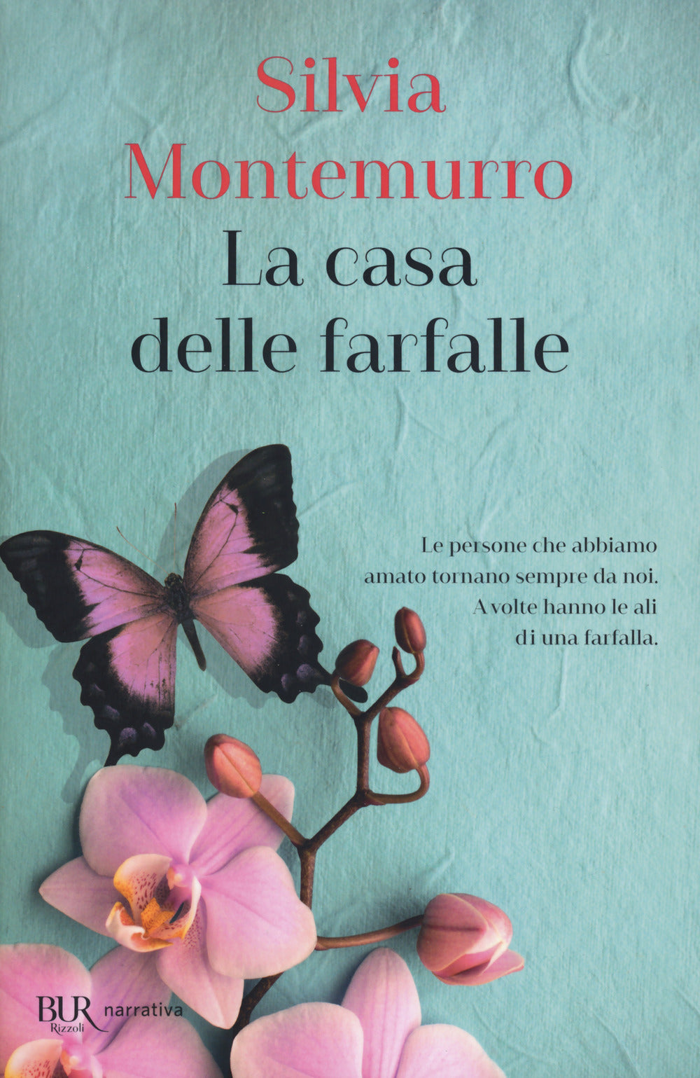 La casa delle farfalle.