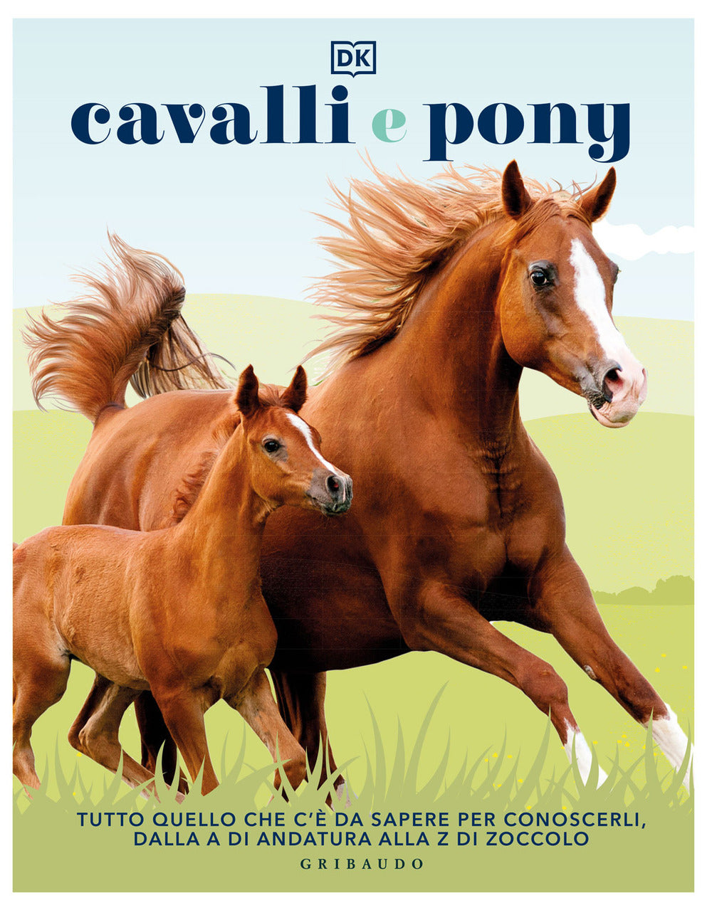 Cavalli e pony. Ediz. illustrata.