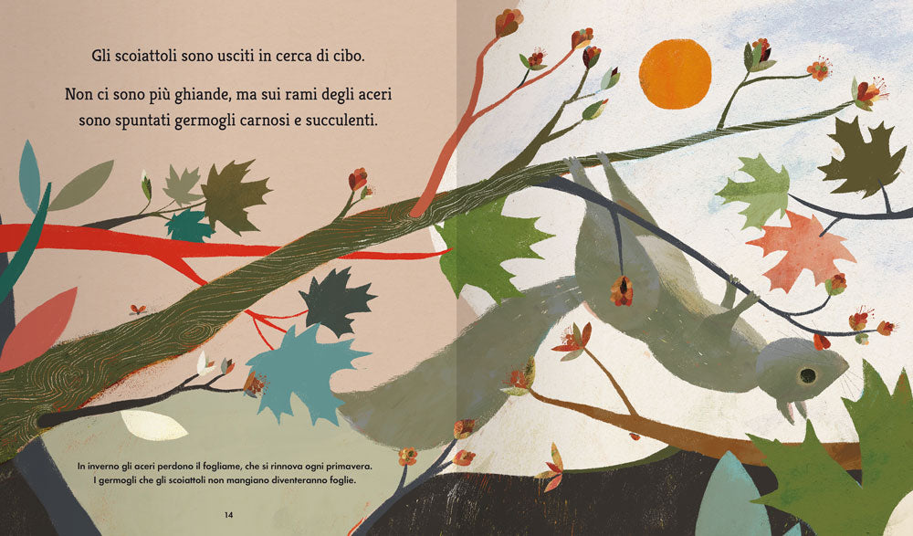 Un anno con gli scoiattoli. Una storia sul susseguirsi delle quattro stagioni