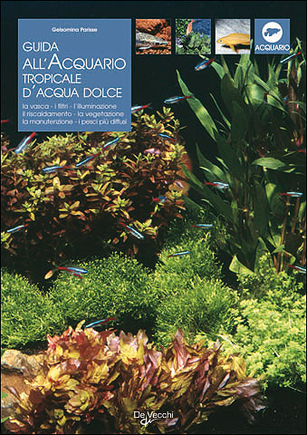 Guida all'acquario tropicale d'acqua dolce. La varietà, i filtri, l'illuminazione, il riscaldamento, la vegetazione, la manutenzione, i pesci più diffusi