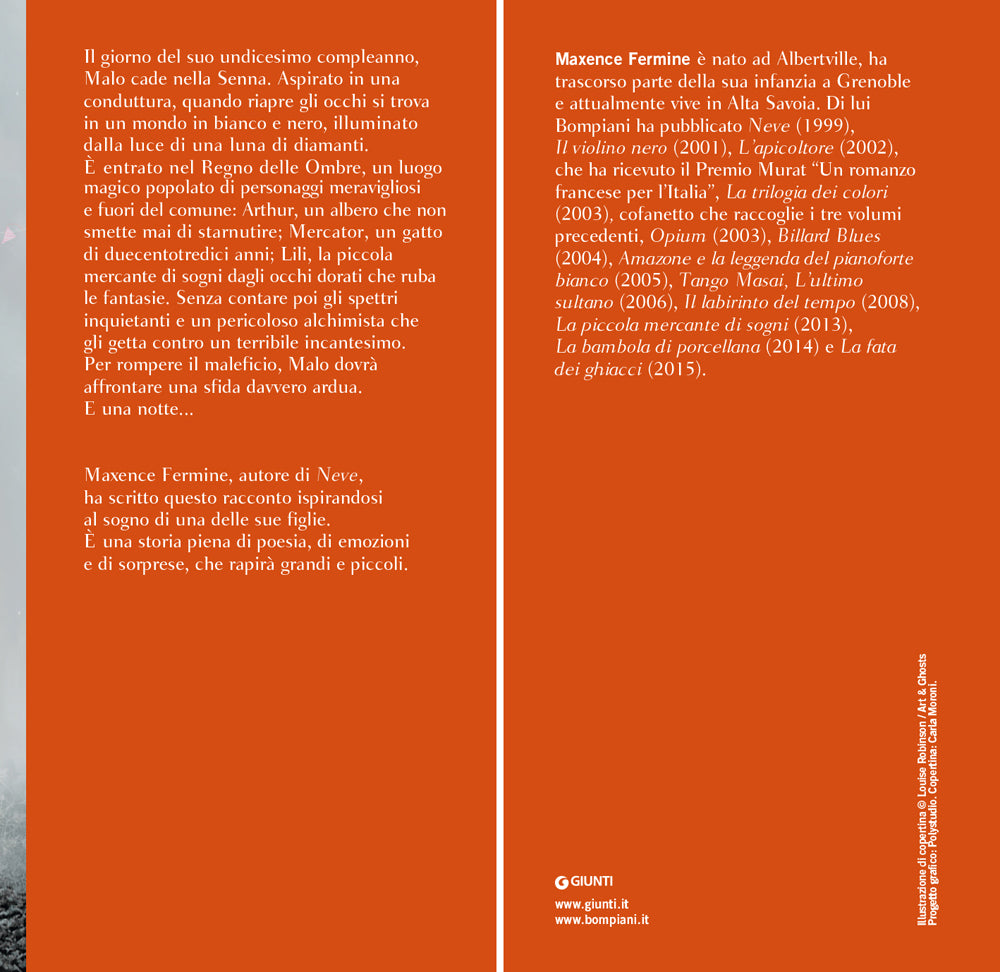 La piccola mercante di sogni