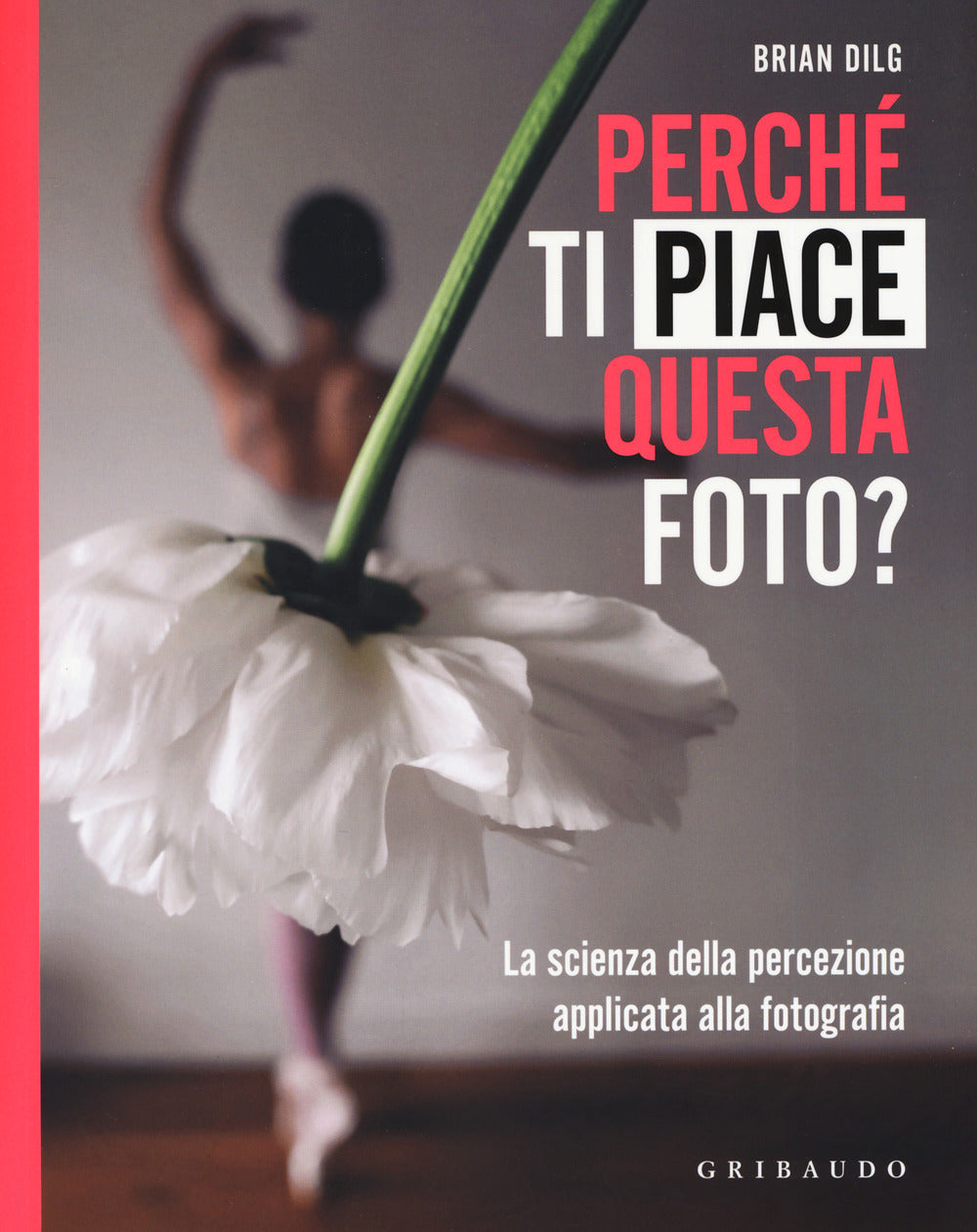 Perché ti piace questa foto? La scienza della percezione applicata alla fotografia. Ediz. illustrata.