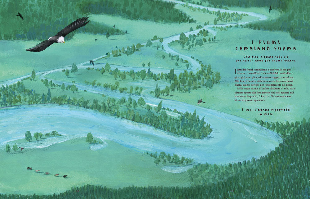 Quattordici lupi. Storia vera di un ritorno