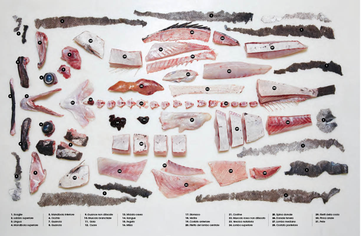 Il Grande libro del pesce. Nuovi modi per cucinarlo, mangiarlo e pensarlo