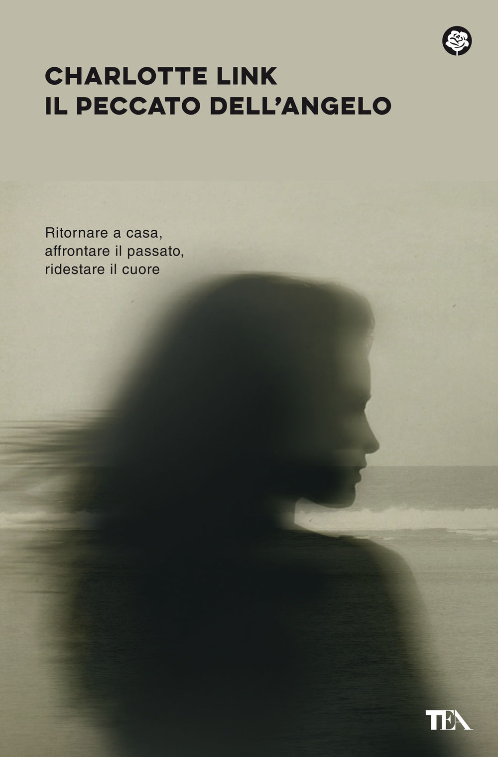 Il peccato dell'angelo.