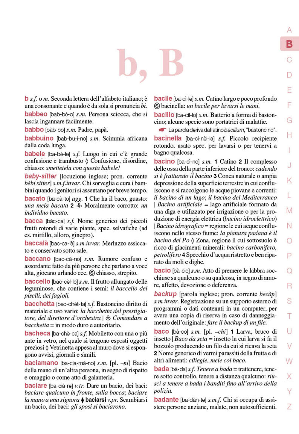 Il mio primo dizionario nuovo Miot 2021